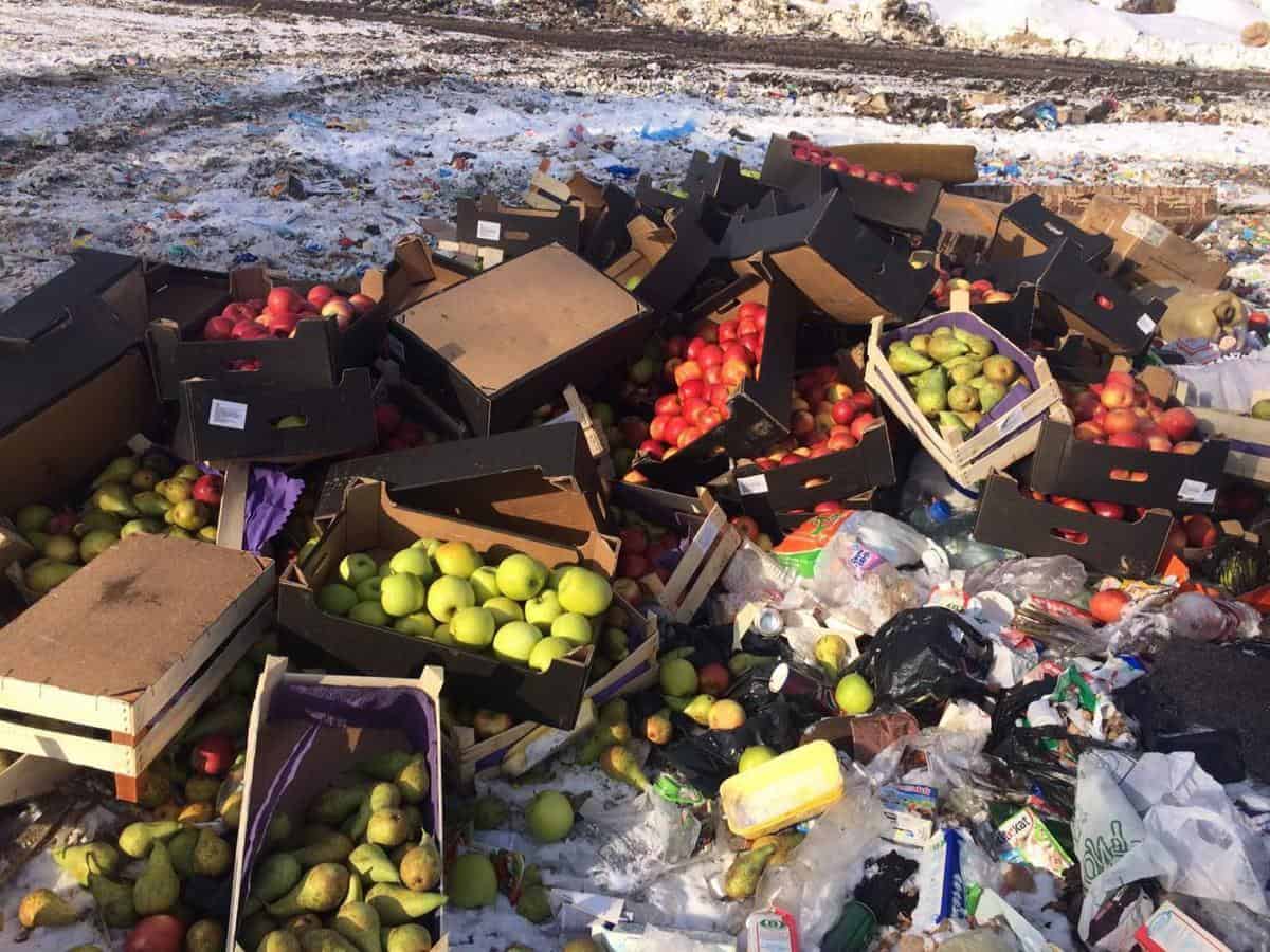 Dlaczego polskie jabłka nie idą na Wschód?