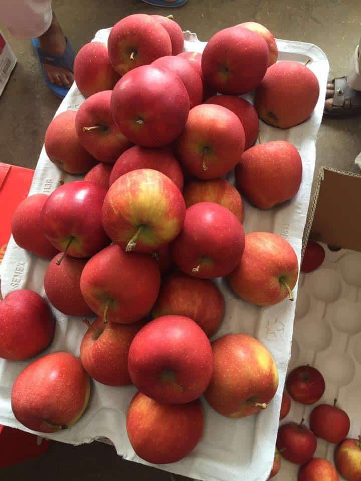 Eksport jabłek na dobrym poziomie, problemem są ceny