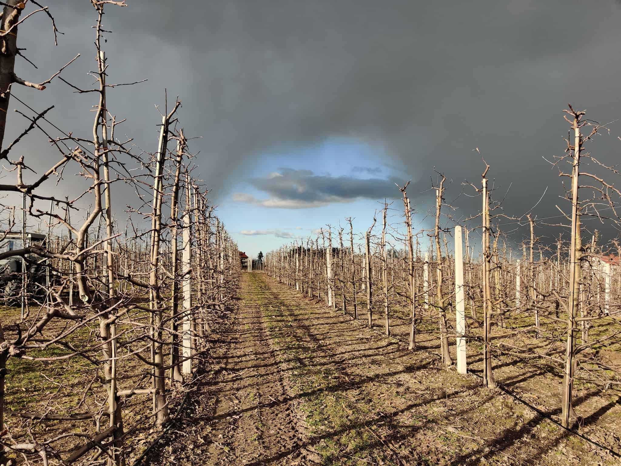 Kwiecień plecień... Pogoda na najbliższe dni