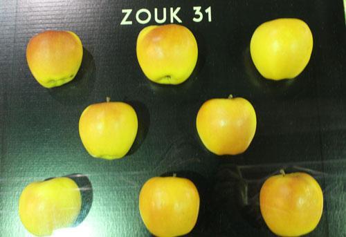2 Zouk 31