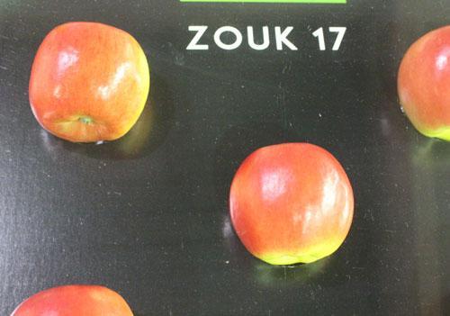 4 Zouk