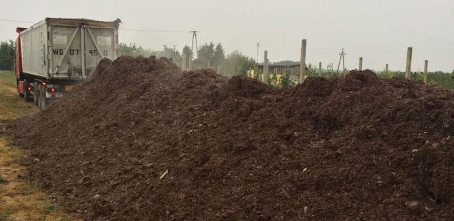 Podłoże popieczarkowe pod drzewka