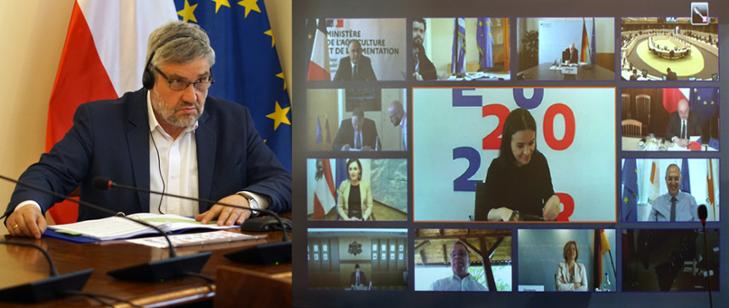 Europejski Zielony Ład a budżet na WPR