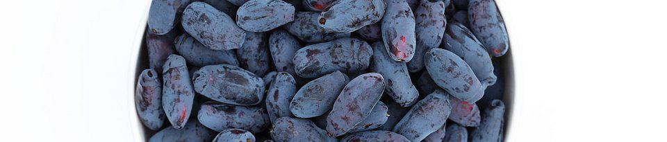 Co zadecyduje o rynkowym sukcesie jagody kamczackiej?