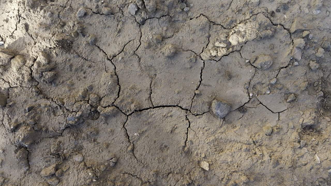 Pomimo opadów, susza w dziewięciu województwach