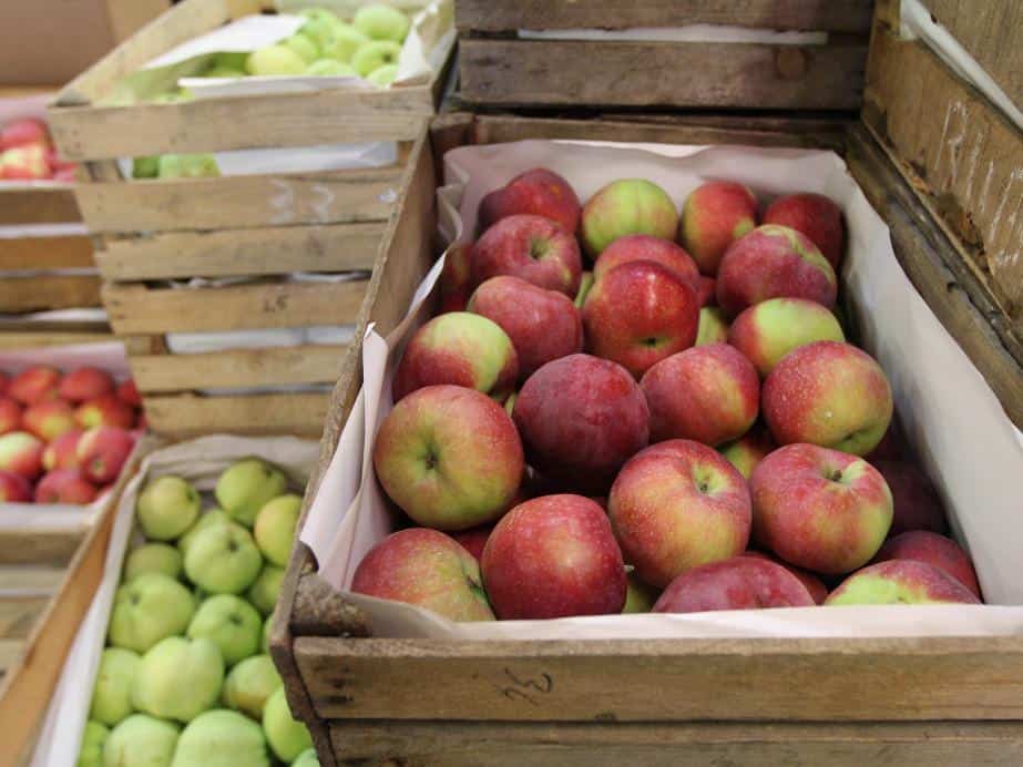 Aktualne ceny jabłek i gruszek u pośredników