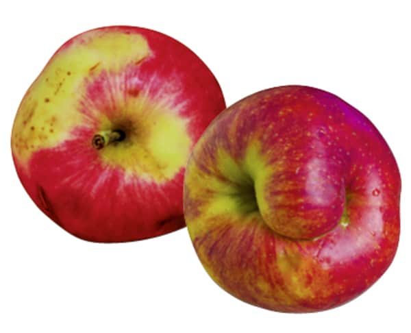 Niemiecka sieć sprzedaje jabłka z defektami, aby wspierać producentów