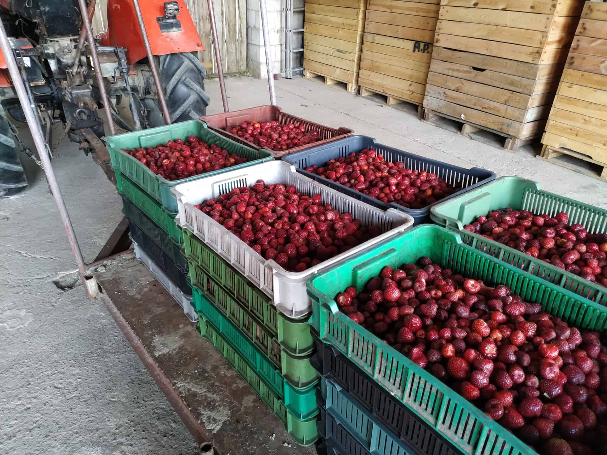 Sowite marże pośredników