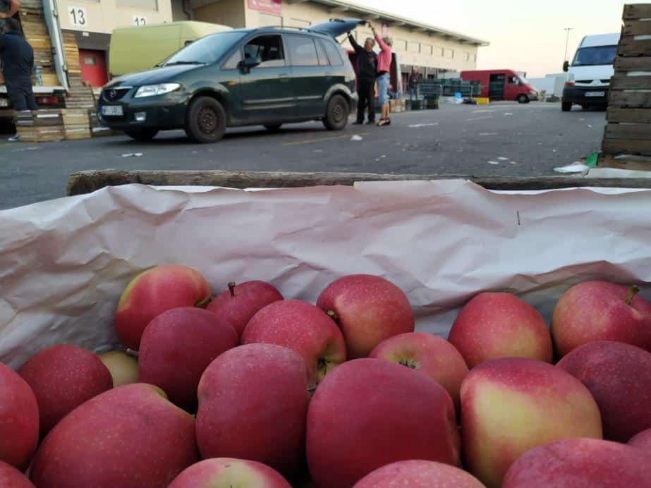 Skąd tyle Gali na rynkach hurtowych?