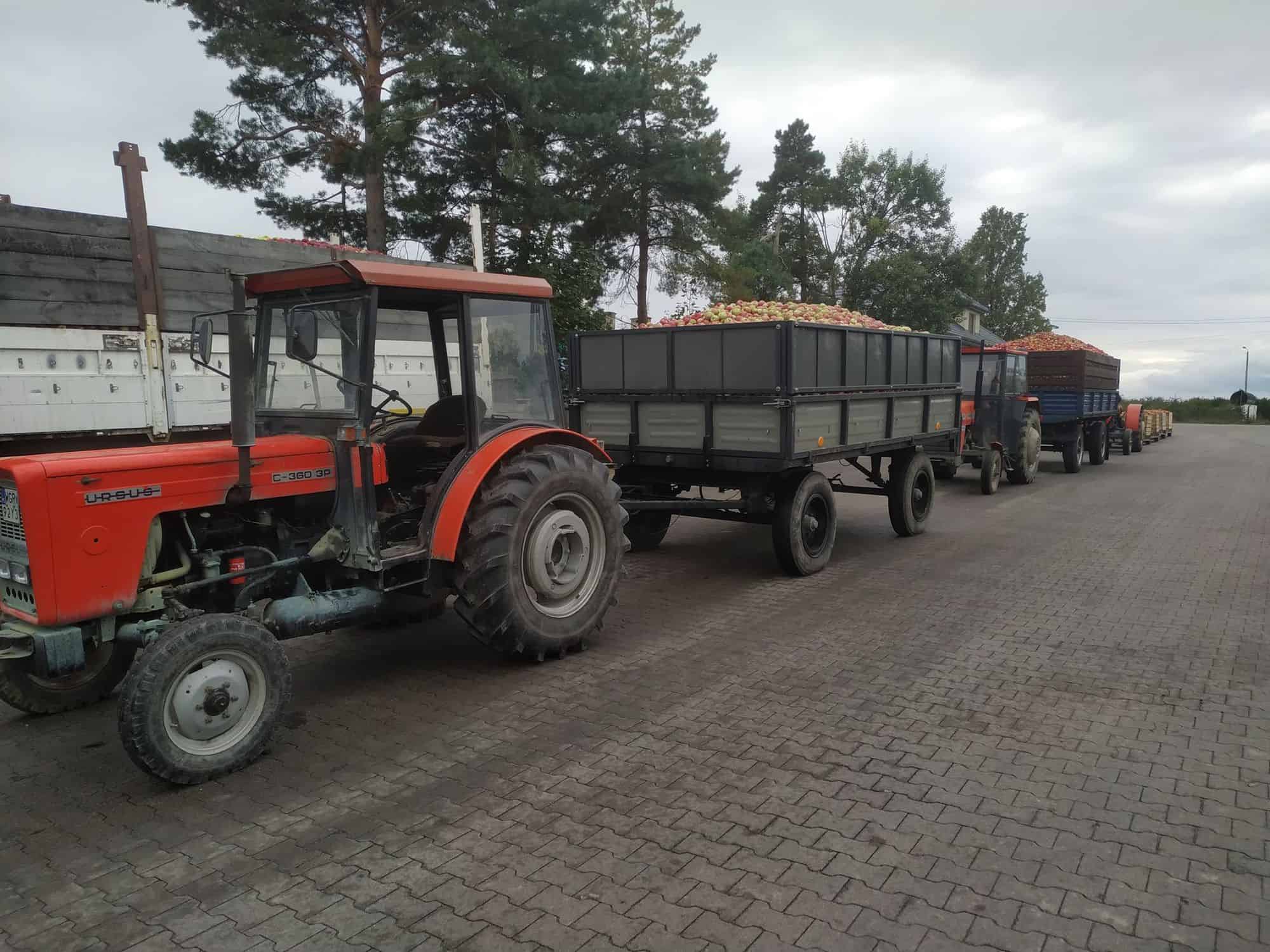 Jabłko przemysłowe: Ceny spadają na 50 groszy