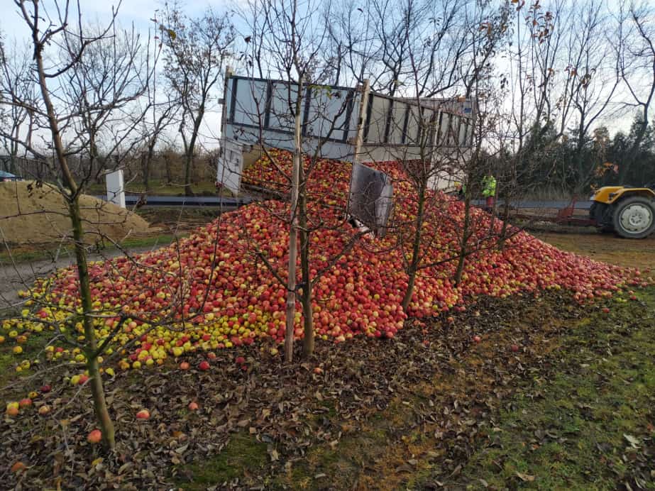 O tym, jak biurokracja skutecznie utrudnia życie sadownikom