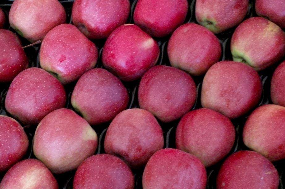 UOKiK kontra supermarkety - jak idą kontrole?