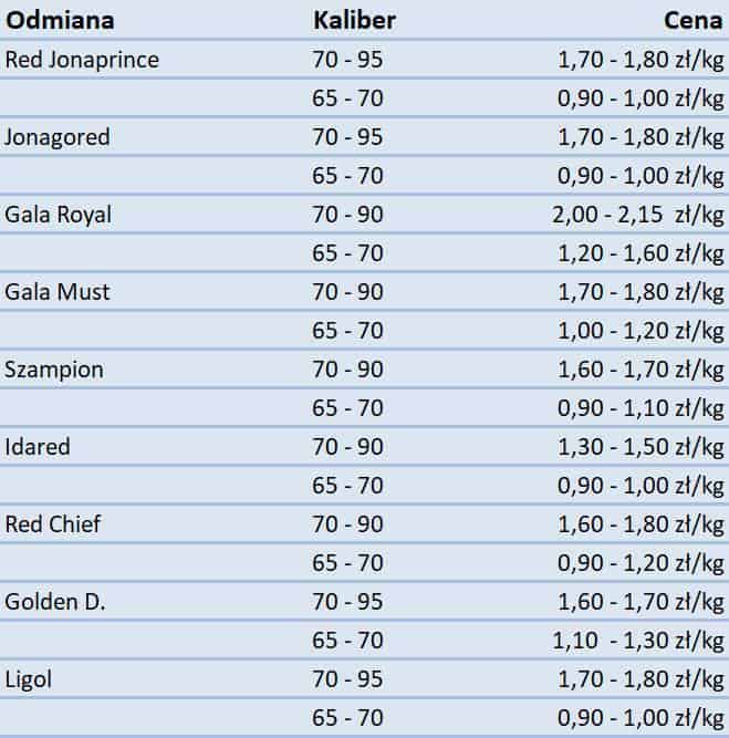 89431151 1285094375009809 3729730487241932800 n