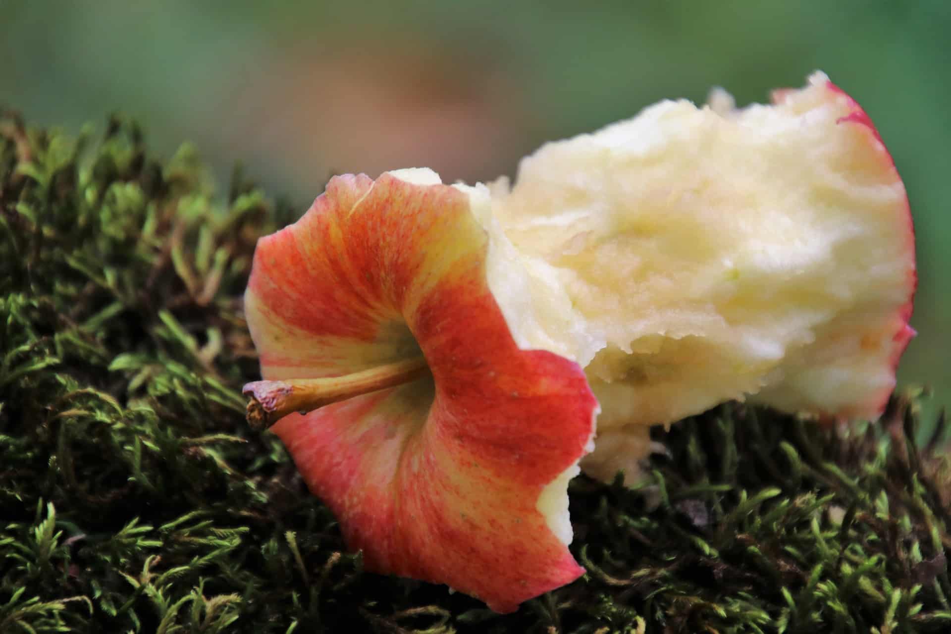 Będą robić buty z jabłek