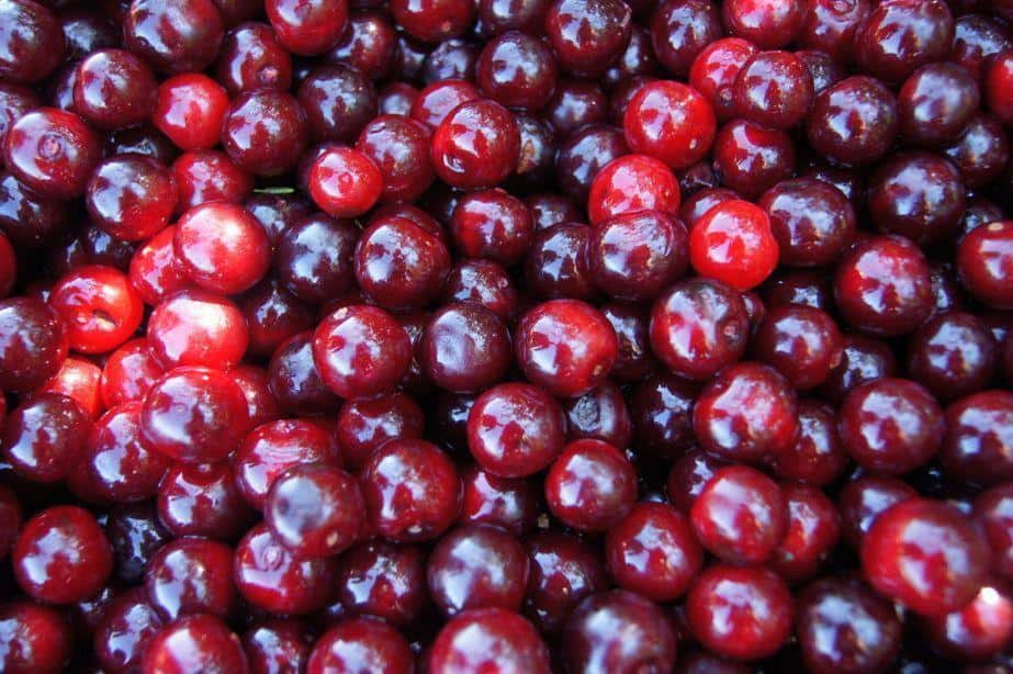 Ceny serbskich wiśni nadal niskie