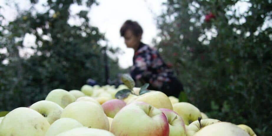 Kontener na podwórko i gotówka od ręki – przemysł jak na razie cenny