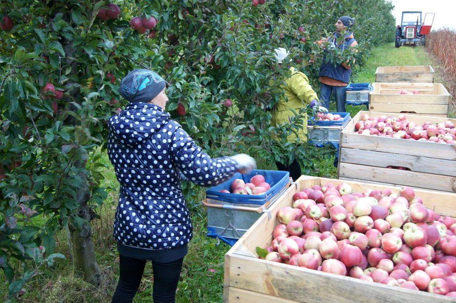 Wizy dla Ukraińców pod znakiem zapytania