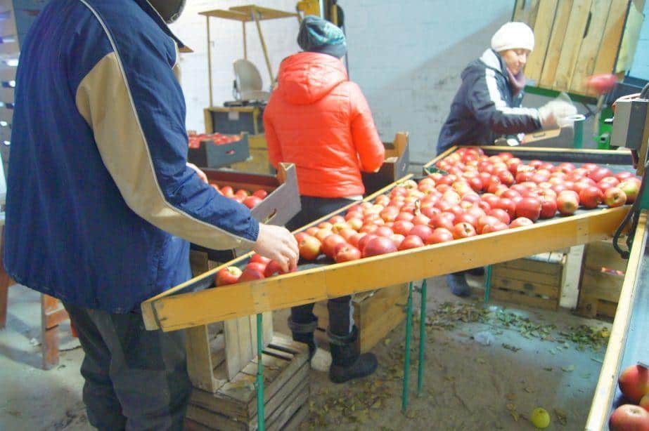 Jak zalegalizować pobyt pracownika z Ukrainy w czasie epidemii?