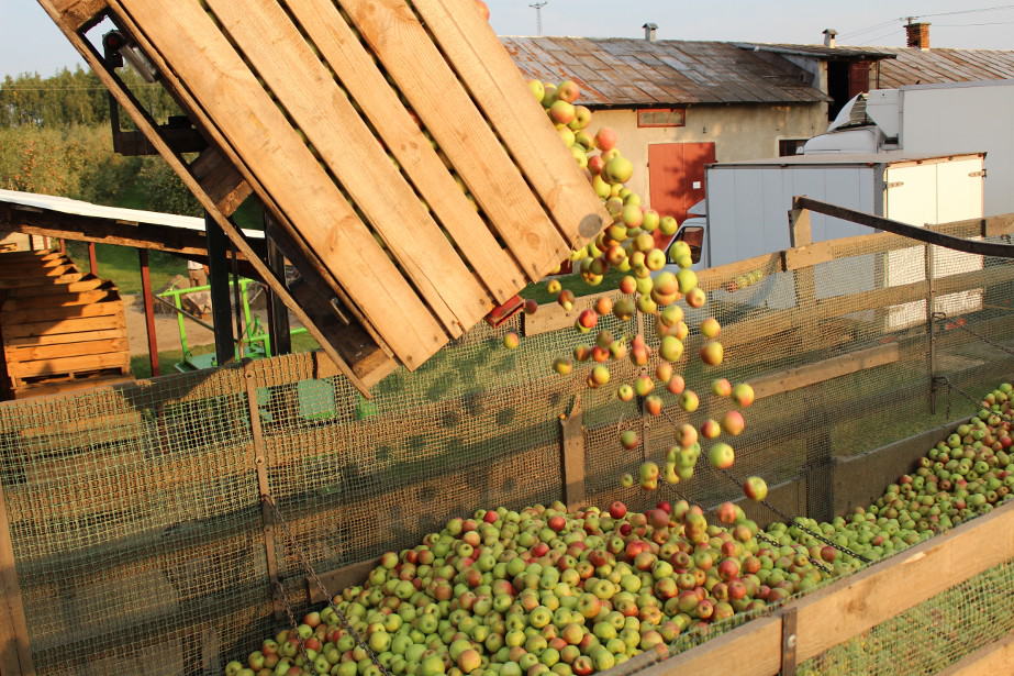 Przemysł: Skupy obniżają cenę na 56 groszy