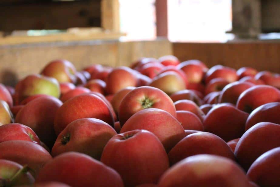 Ukraina dostała zgodę na eksport jabłek do Indii