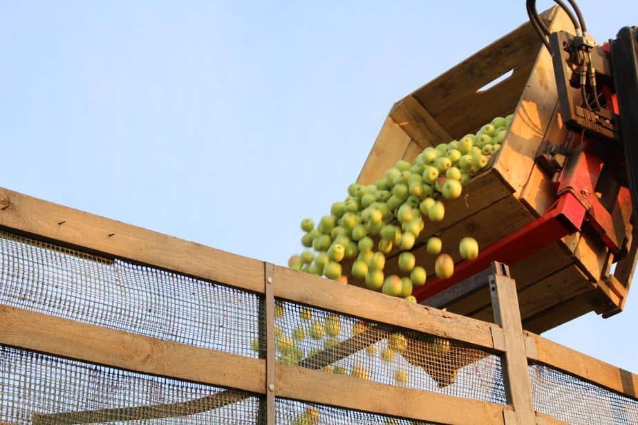 Niskie ceny zniechęcają do sprzedaży