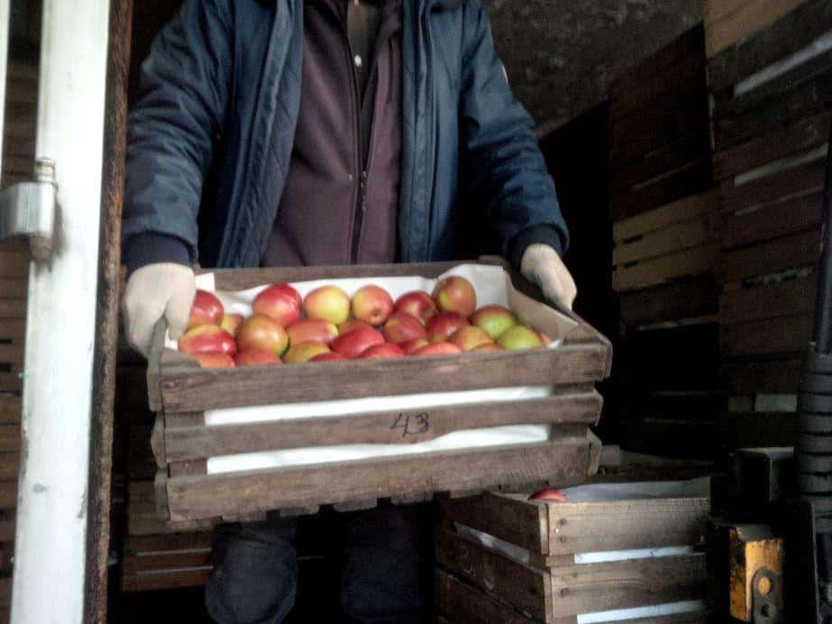 Listopad w hurcie – jak będzie w tym roku?