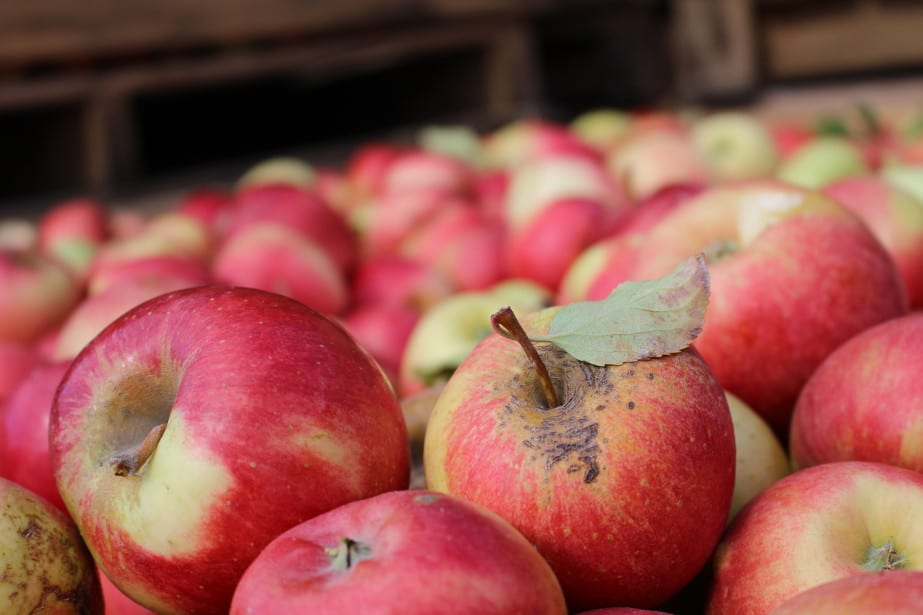 Jak wygląda handel drugą klasą jabłek?