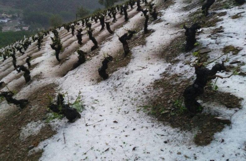 Hiszpania: Gradobicia na powierzchni 100 tys. hektarów!