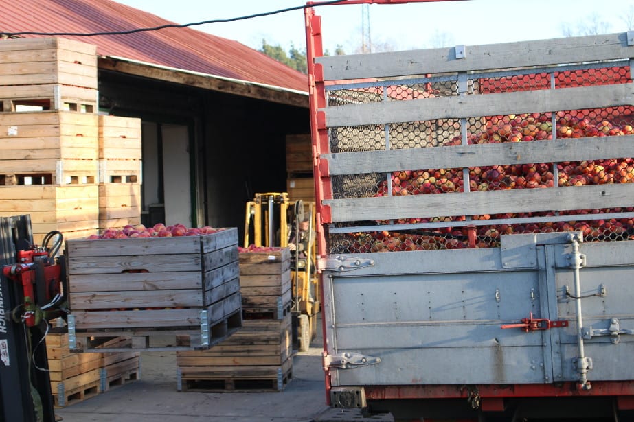 Rosną ceny suchego przemysłu