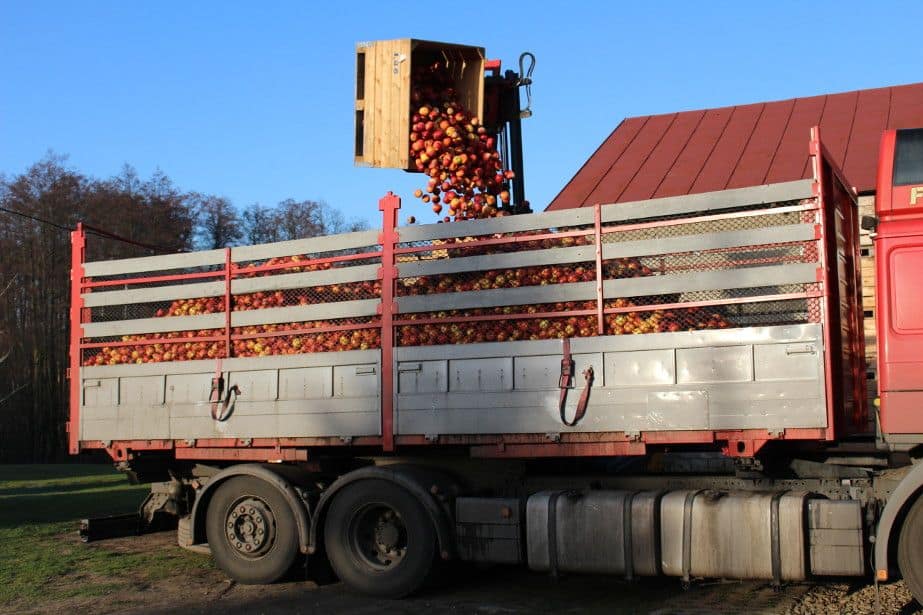 Jabłko przemysłowe nadal tanieje
