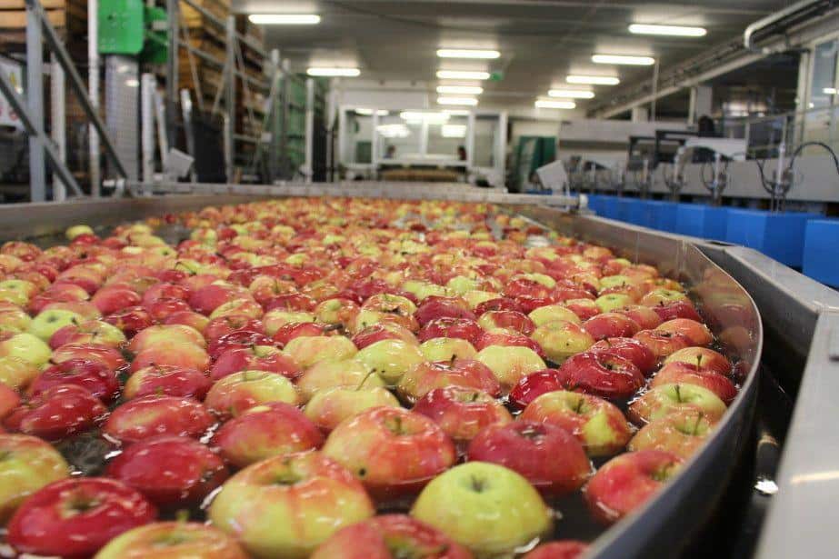 Czy rząd zdecyduje się wykupić Owoc Sandomierski?