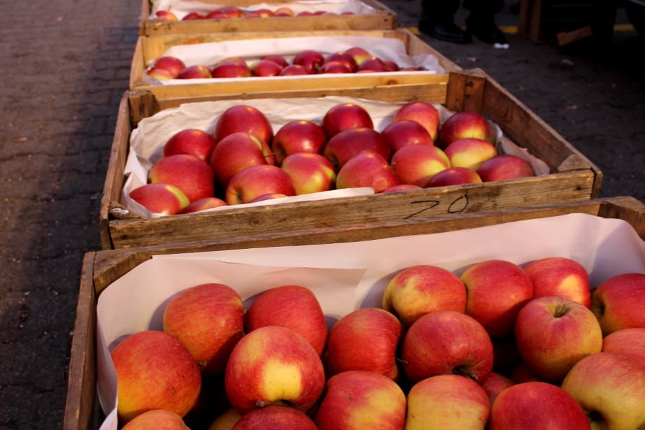 Bronisze: Dobry popyt na Ligola