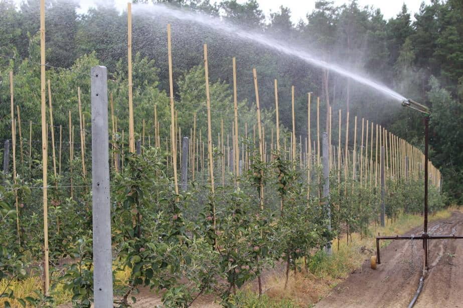 Opłaty za usługi wodne – oświadczenia do 30 października