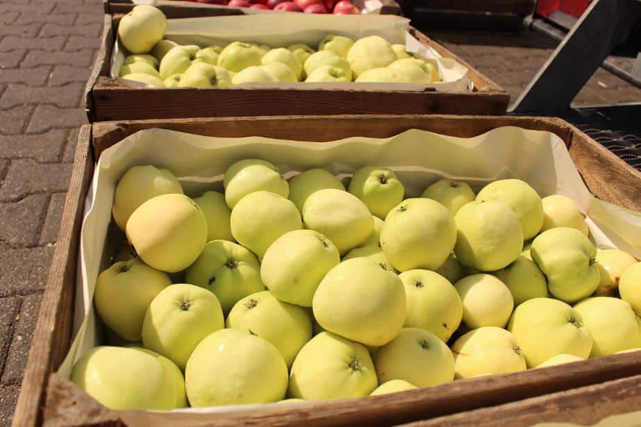 Wysokie ceny Antonówki