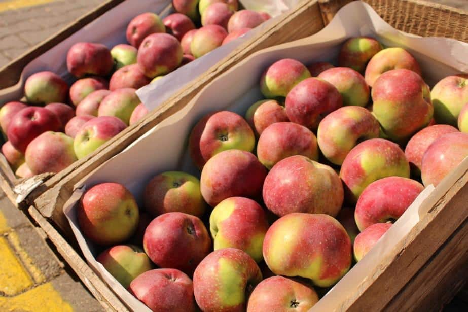 Na Broniszach zabrakło Lobo – kupcy intensywnie go szukają