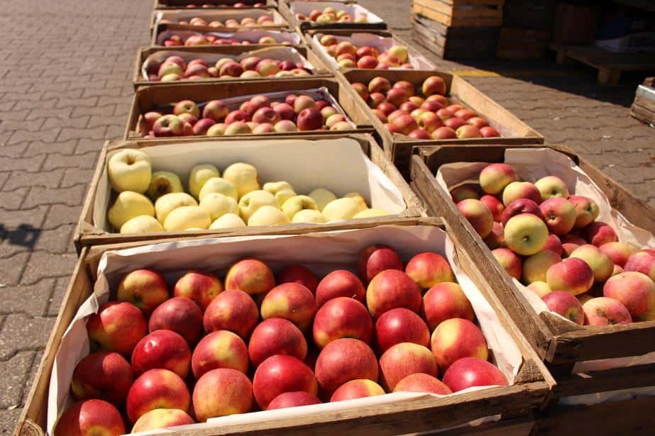Bronisze: Wysokie ceny jabłek