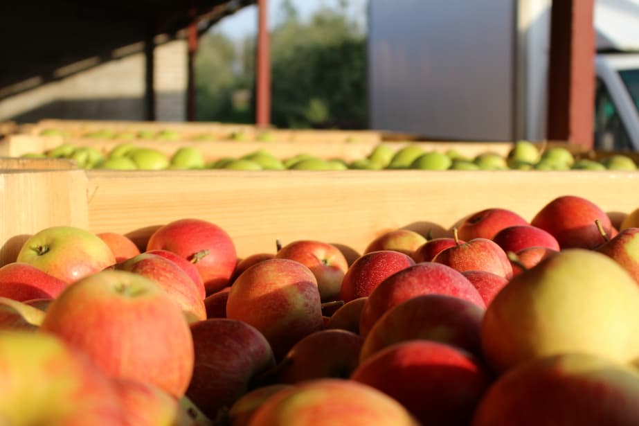 Warto szukać najlepszej oferty