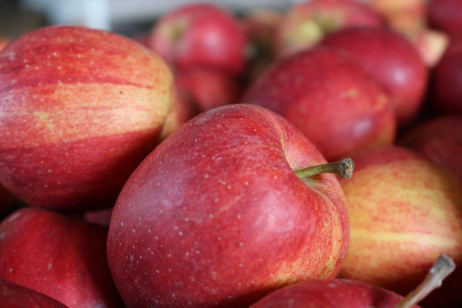 Wybierz jabłko – nasze dobro narodowe!
