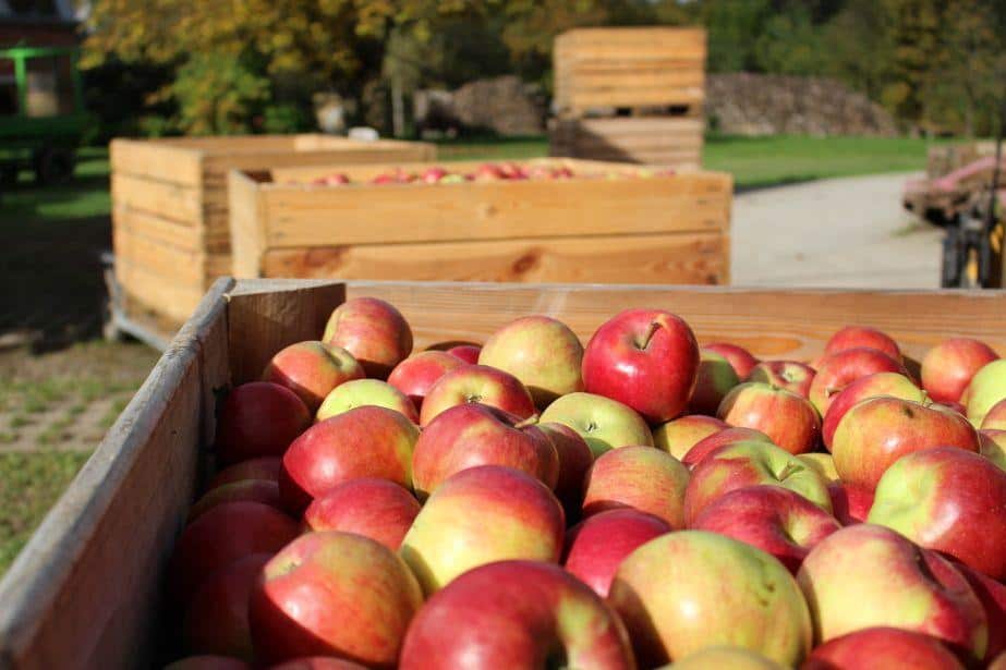 Kupię Idareda za wagę w skrzyni