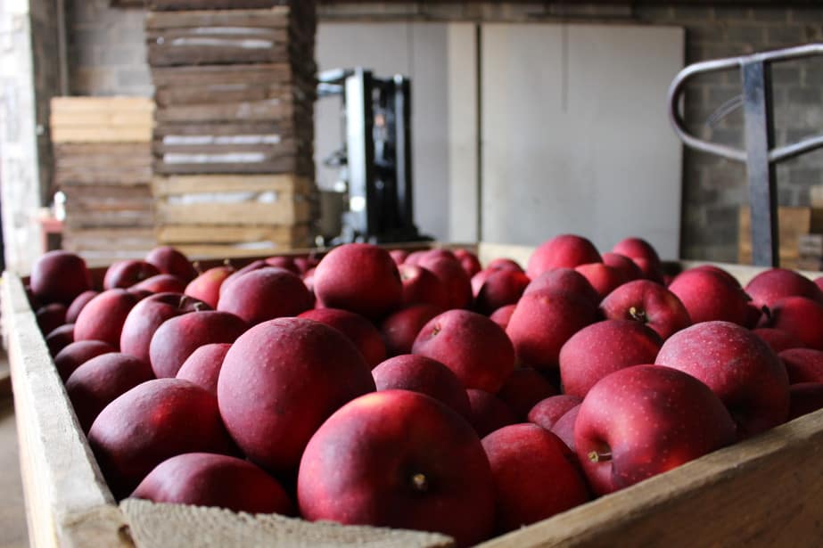 Aktualne ceny jabłek deserowych w grupach producenckich  – 18.11.2019
