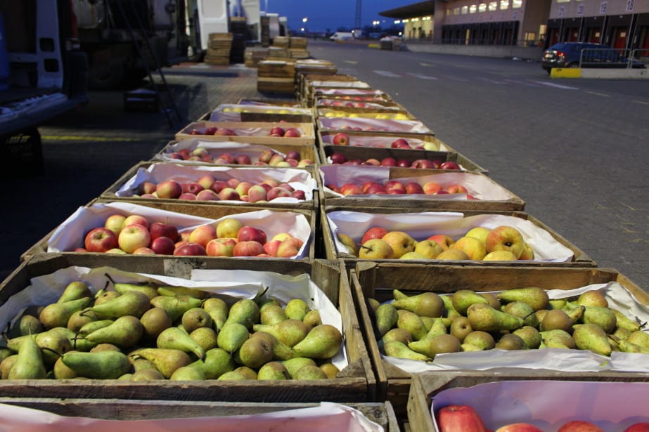 Dwutygodniowa informacja o cenach owoców w Polsce nr 7