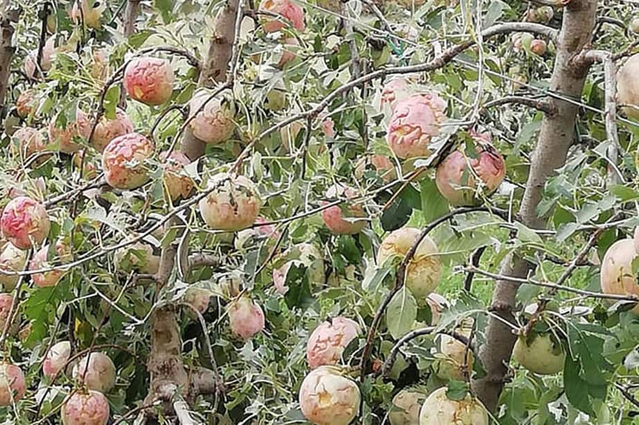 Październikowe gradobicie we Włoszech