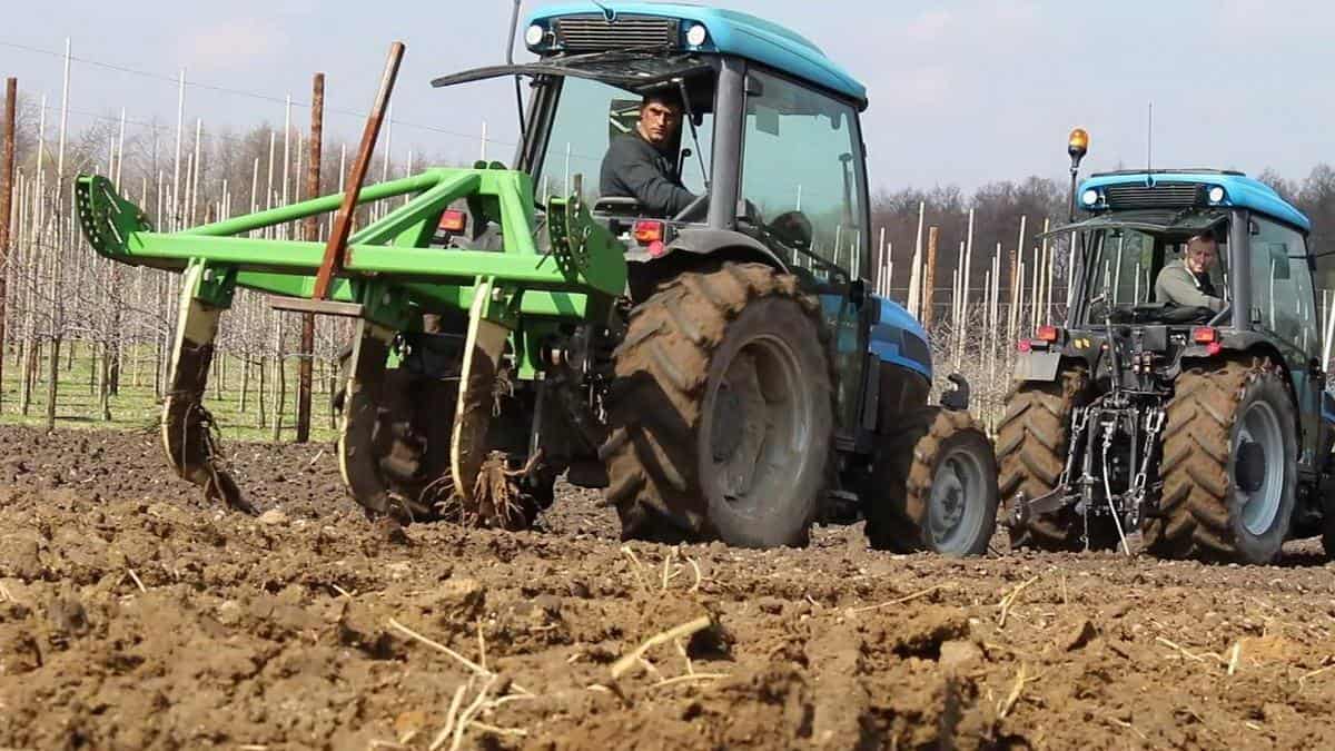 Kto jeszcze straci na złej koniunkturze w sadownictwie?
