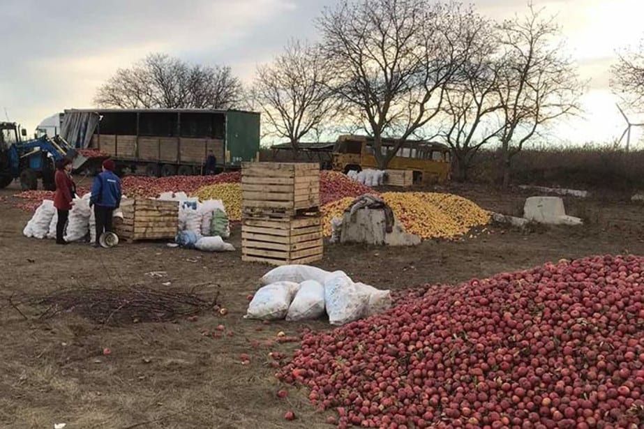 Zamieszanie z mołdawskimi jabłkami przemysłowymi