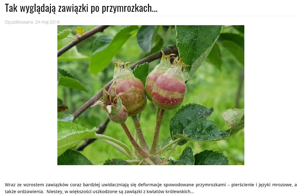 ordzawienia