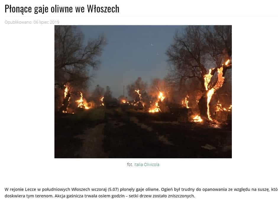 plonacegaje