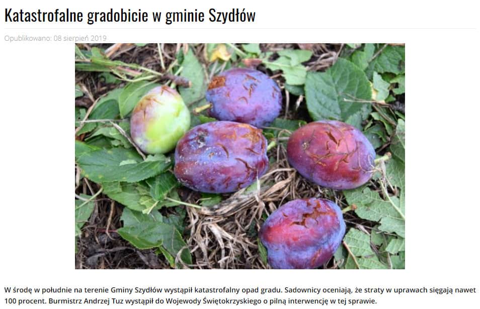 szydlow