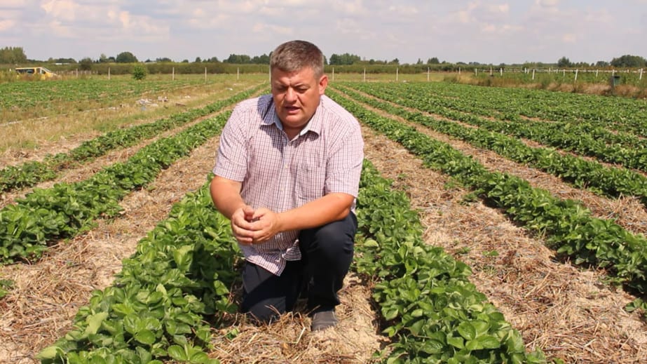 Przetwórcy będą musieli urealnić ceny skupu?