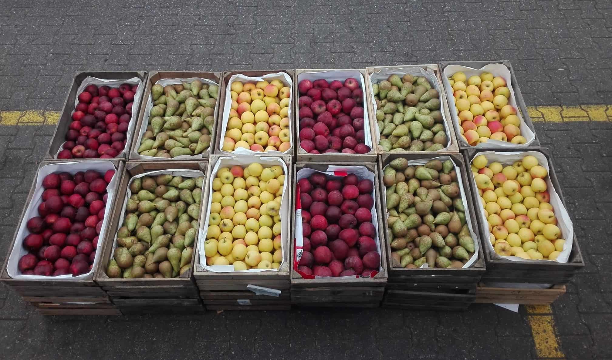 Nie zamykajmy targowisk i bazarów 