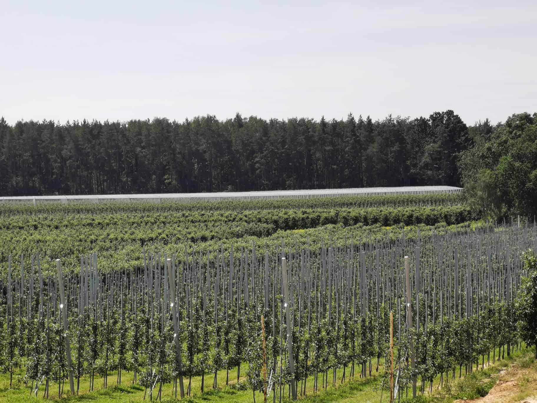 Tani prąd na obszarach wiejskich